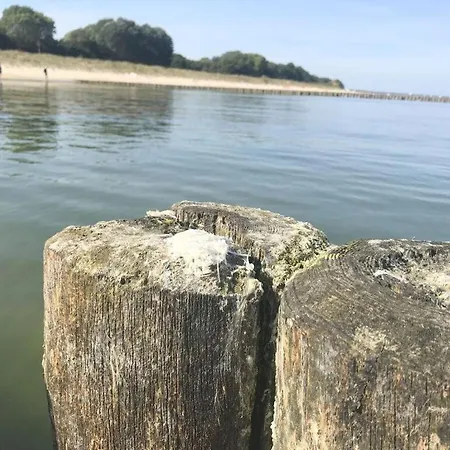 Hébergement de vacances Wg 32 - House Roland *